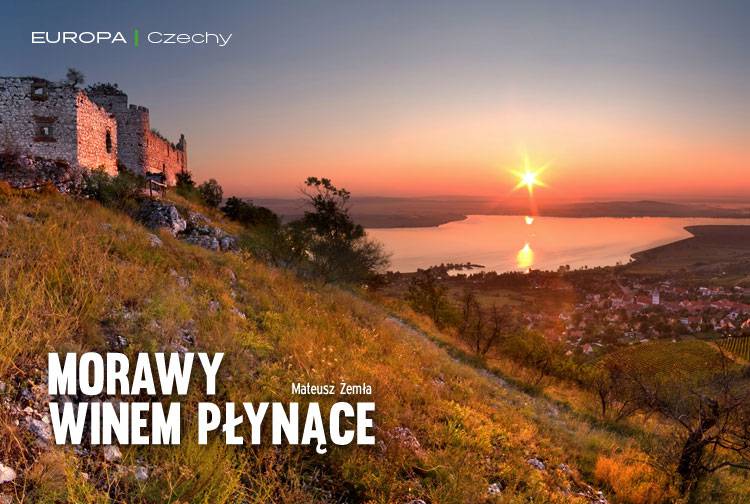 Losowy darmowy artykuł